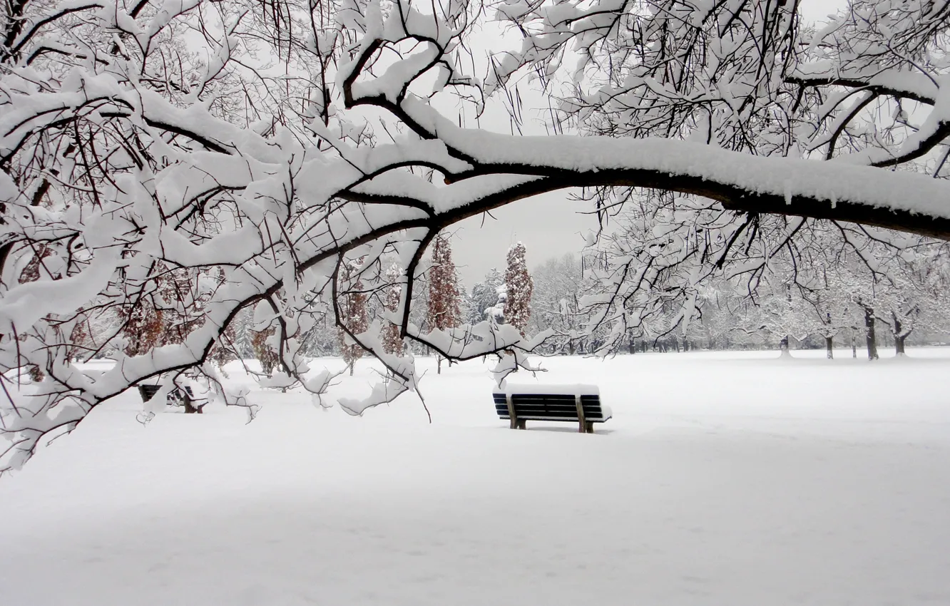 Фото обои зима, снег, парк, скамья