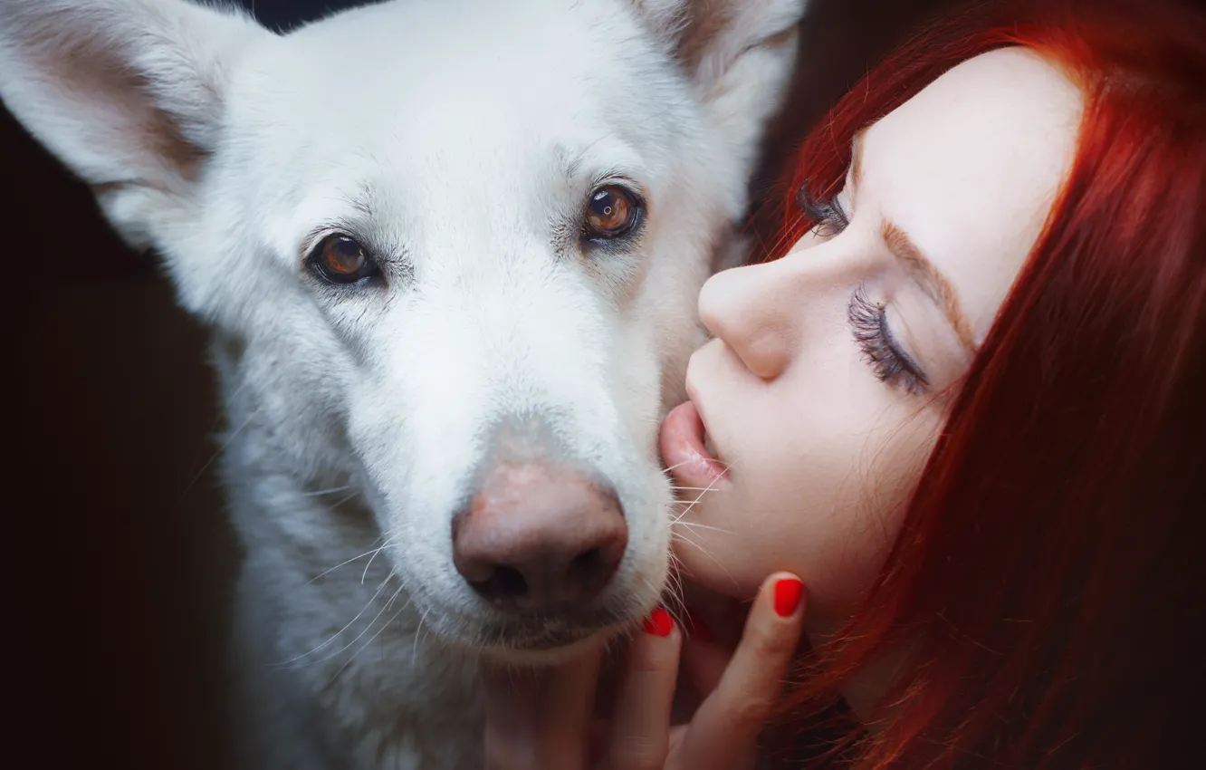 Фото обои взгляд, морда, лицо, настроение, собака, Alexander Drobkov-Light, Мария Некрасова