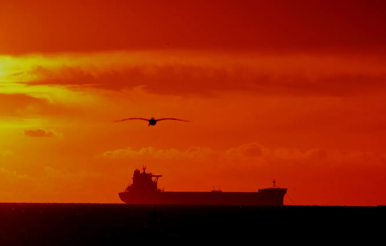 Фото обои море, полет, закат, корабль, чайки, горизонт, оранжевое небо
