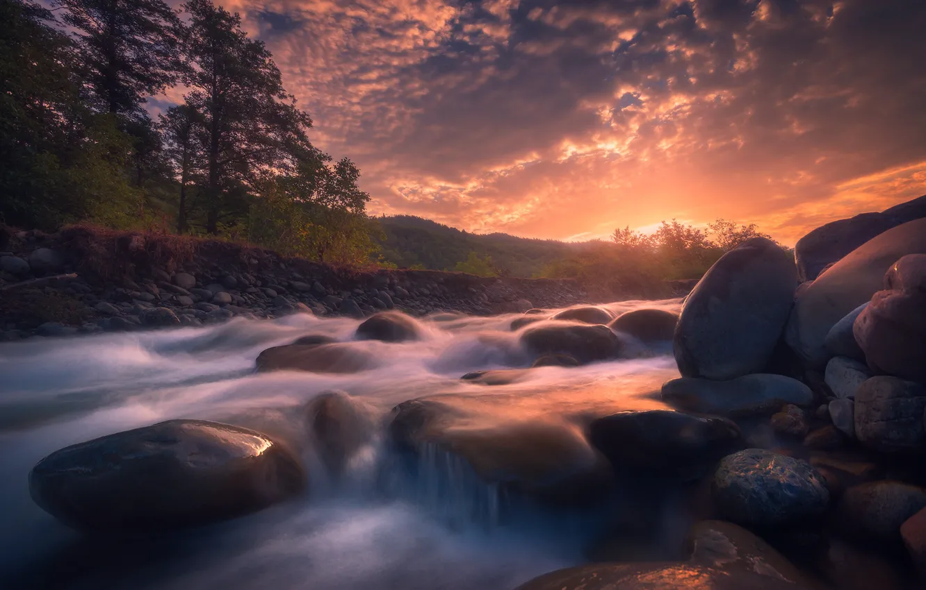 Фото обои лес, вода, река, камни