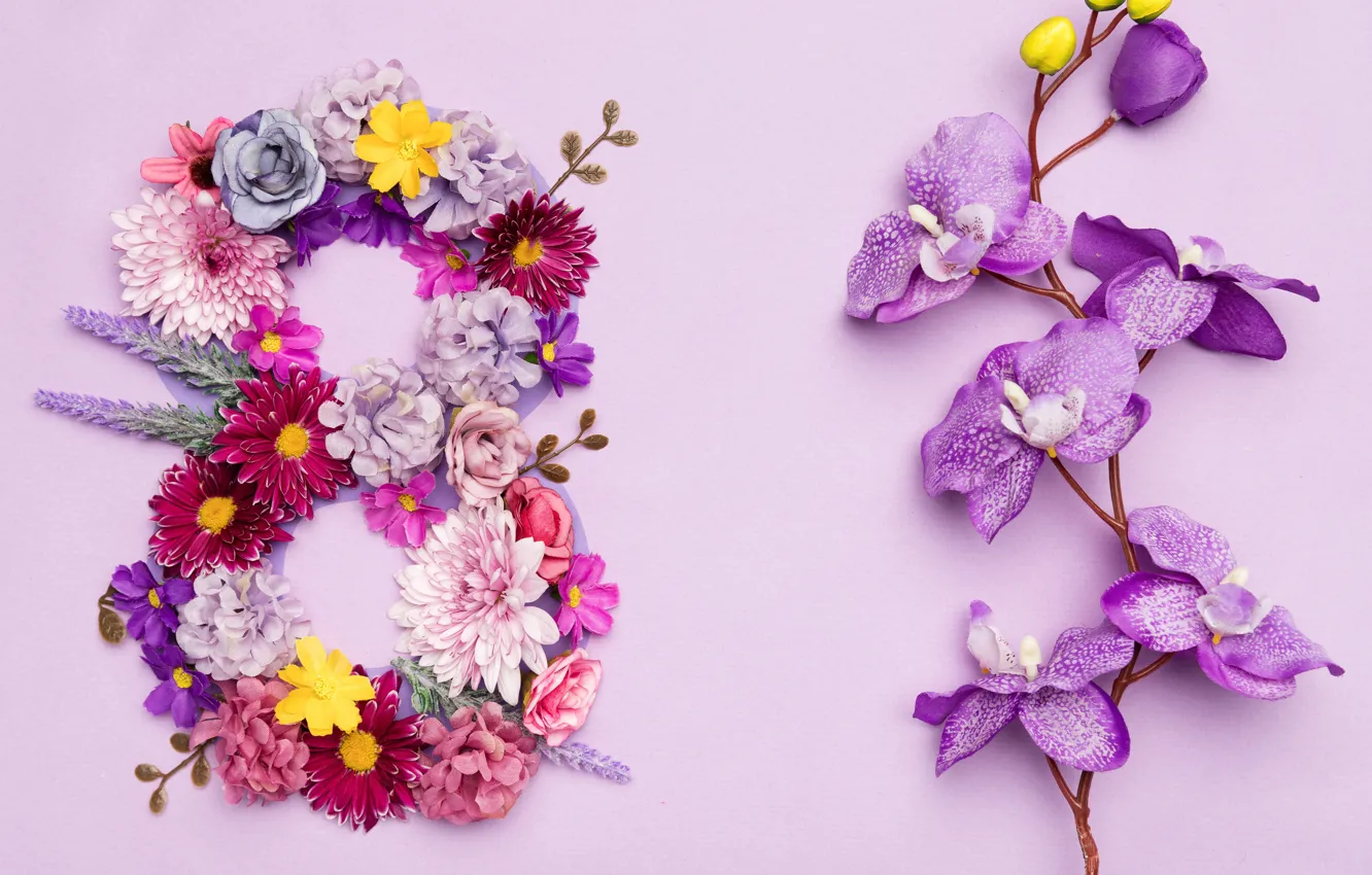Фото обои цветы, happy, 8 марта, pink, flowers, открытка, spring, celebration