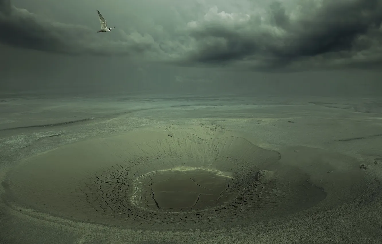 Фото обои птица, пустыня, кратер