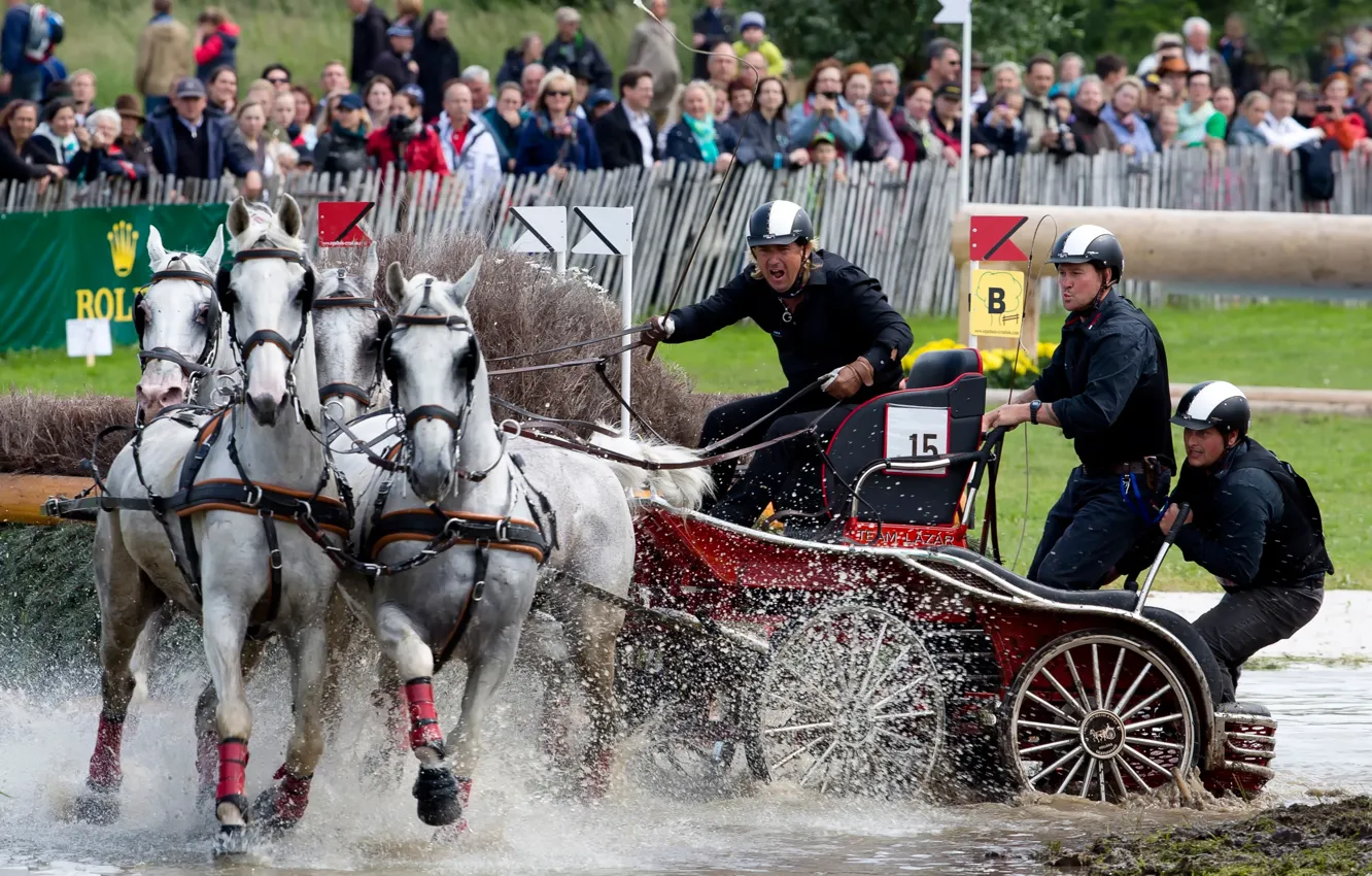 Фото обои конный спорт, соревнования конных упряжек, Драйвинг, четверик, Carriage driving