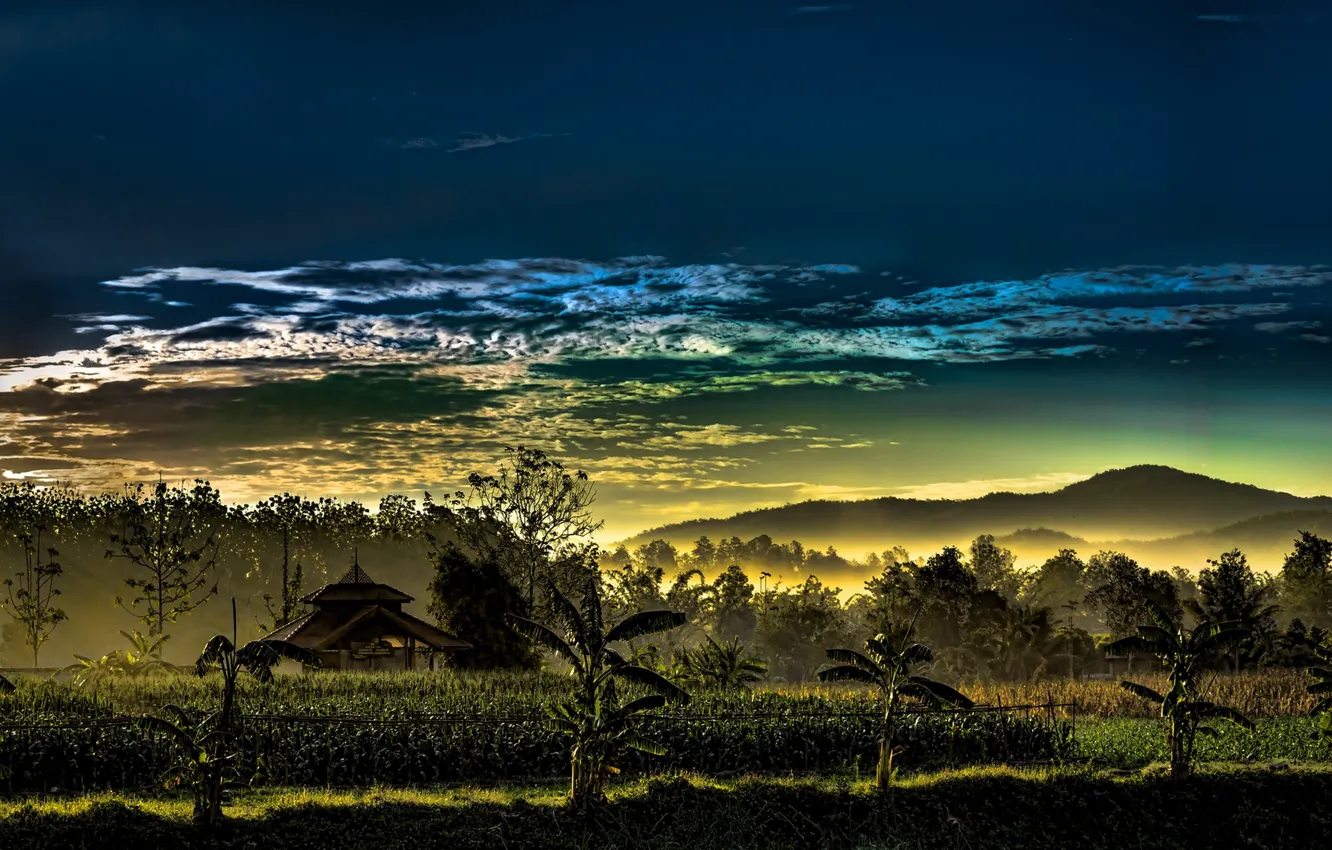 Фото обои Thailand, cloud, dusk, palm trees, horizon, atmosphere, mist, mountai