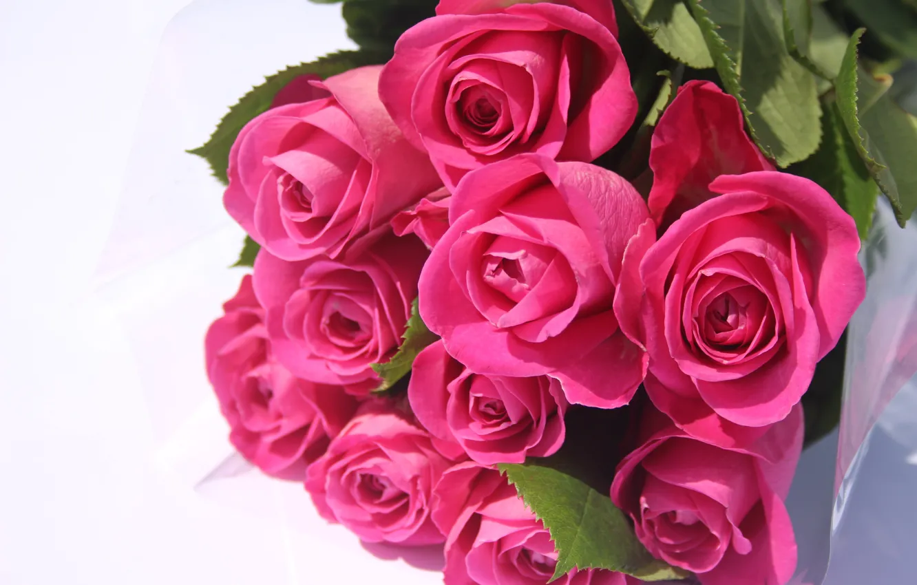 Фото обои романтика, розы, букет, розовые розы, валентинки, букет розовые розы