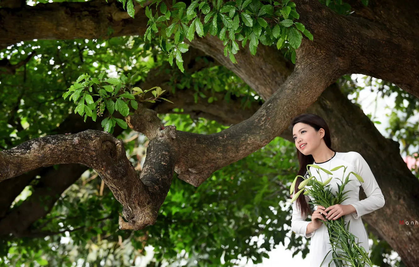 Фото обои девушка, дерево, азиатка