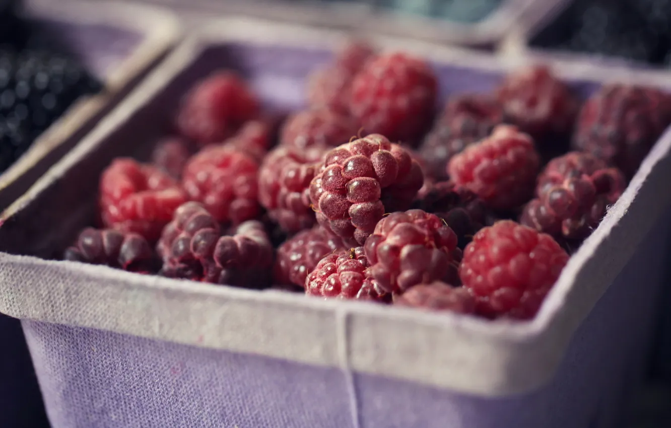 Фото обои макро, ягоды, raspberries