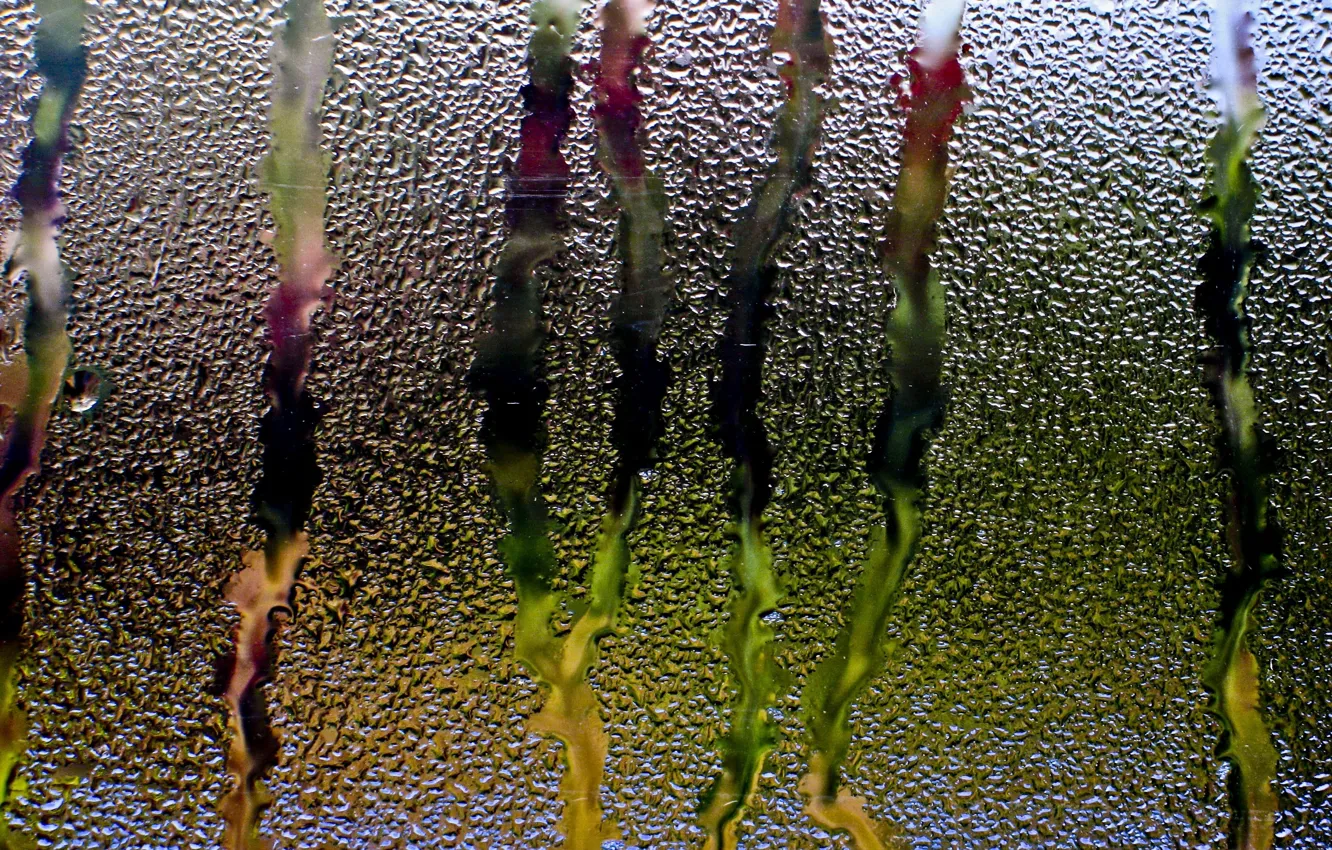 Фото обои стекло, вода, капли, дождь, окно, потоки