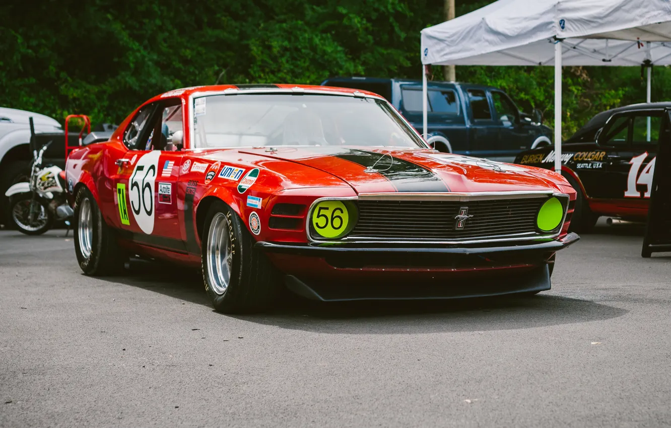 Фото обои спортивная, Ford Mustang, передок