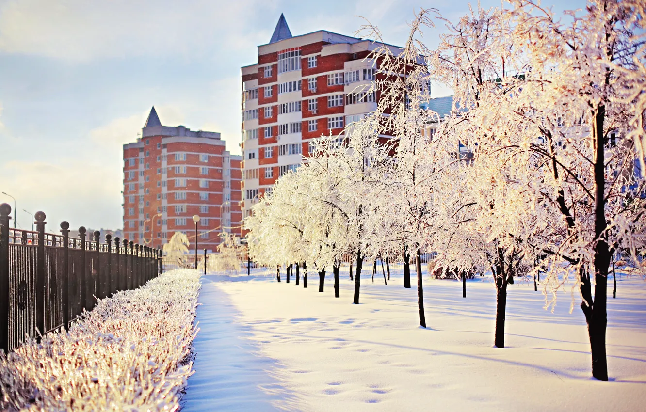 Фото обои зима, снег, деревья, city, город, улица, здания, мороз