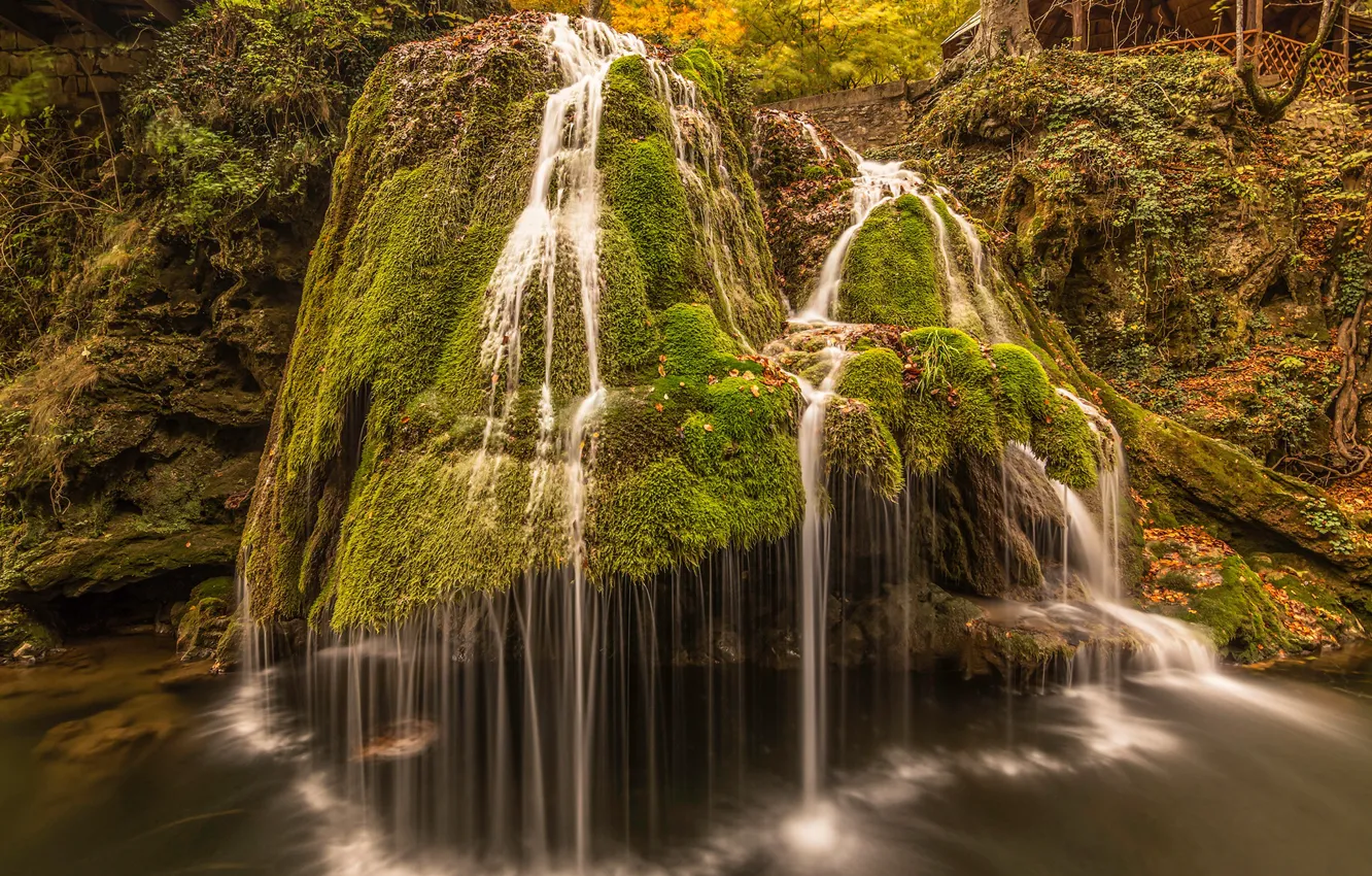 Фото обои листья, камни, водопад, мох, Румыния, Bigar Waterfall