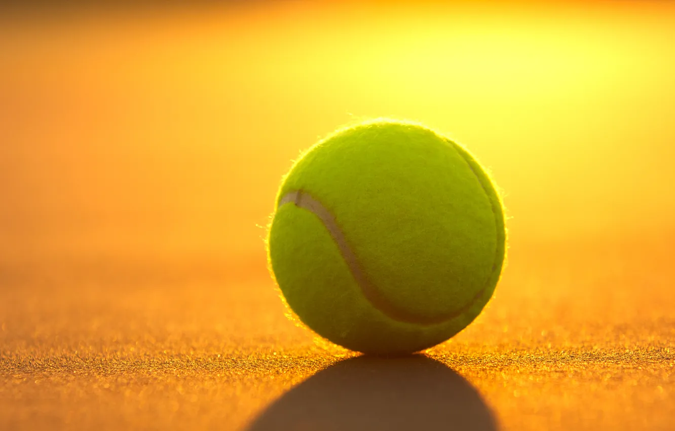 Фото обои закат, спорт, мяч, теннис, корт, инвентарь