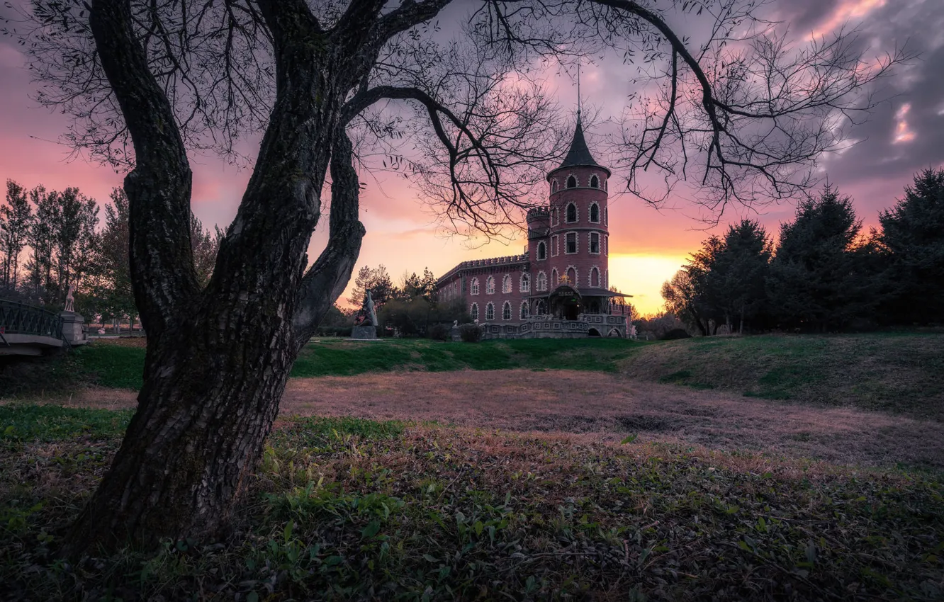 Фото обои деревья, закат, замок