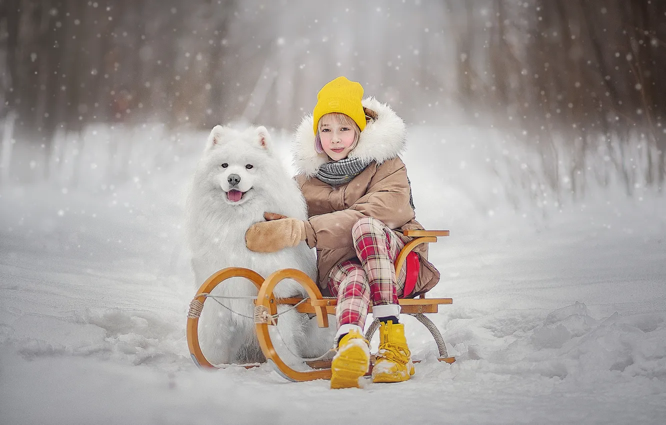 Фото обои зима, снег, собака, девочка, санки, пёс, подросток, Ксения Лысенкова