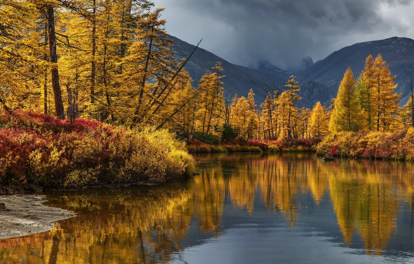 Фото обои осень, деревья, пейзаж, горы, тучи, природа, отражение, река