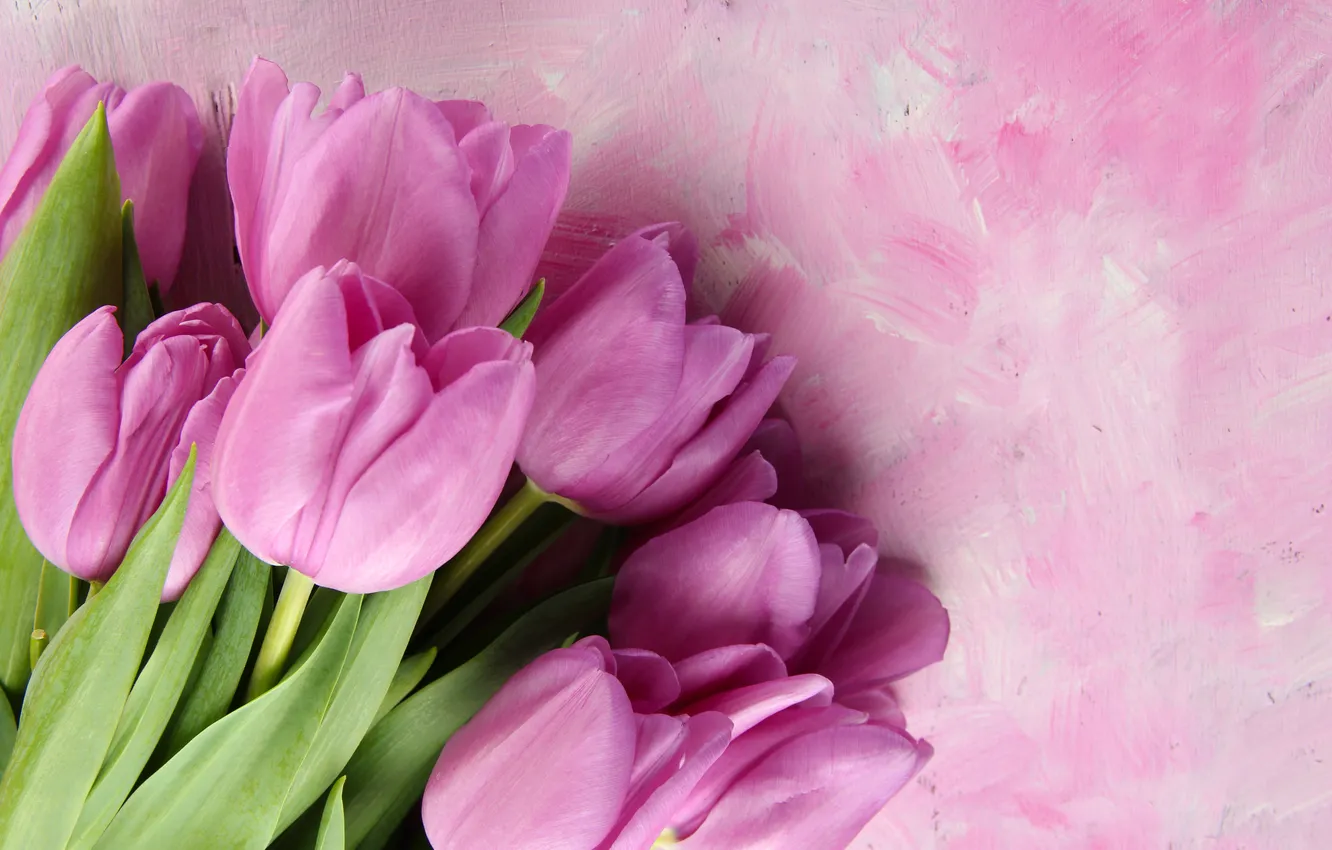 Фото обои цветы, букет, тюльпаны, wood, pink, flowers, tulips, spring