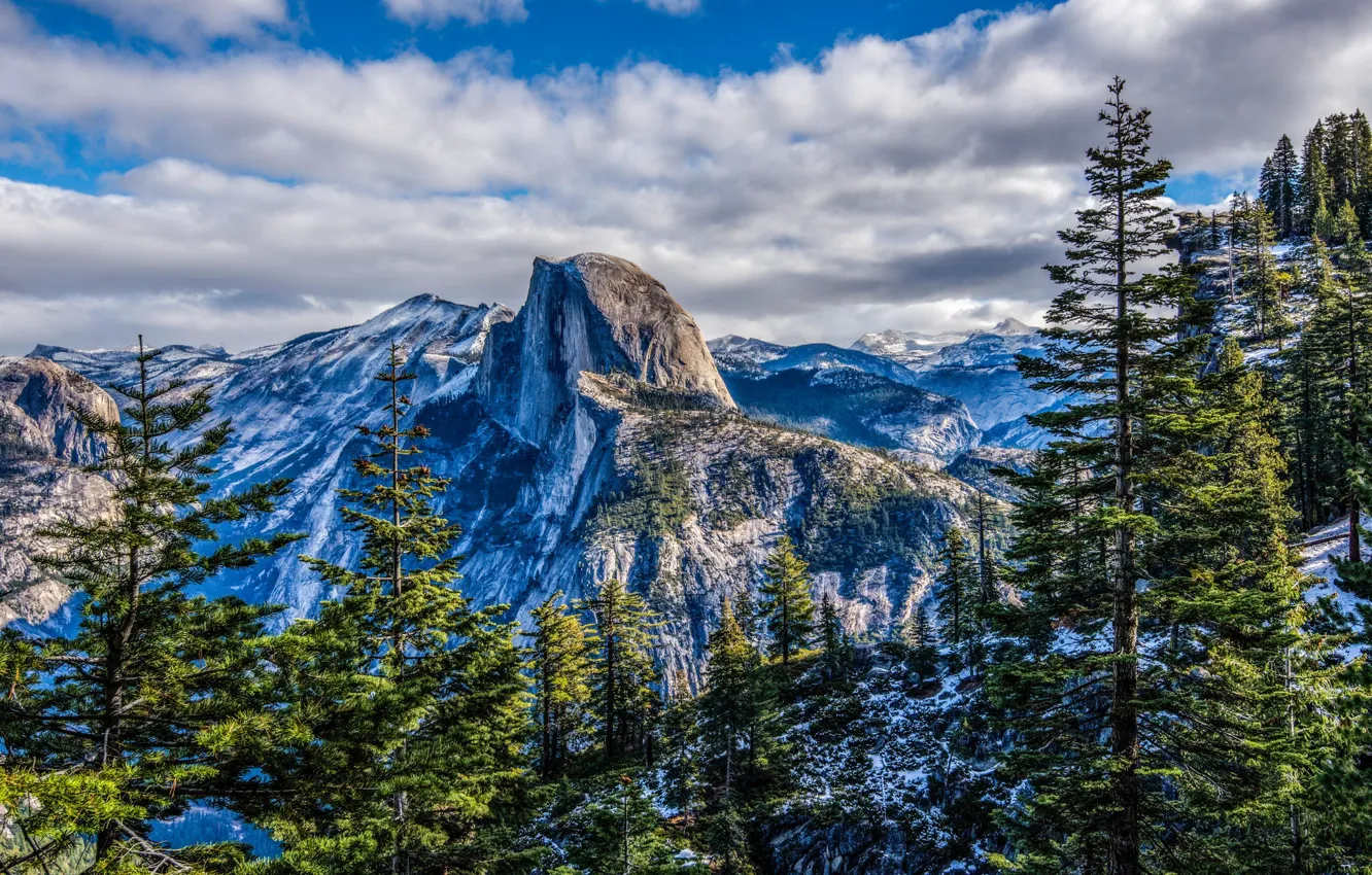Фото обои лес, горы, природа, Национальный парк Йосемити, Yosemite National Park