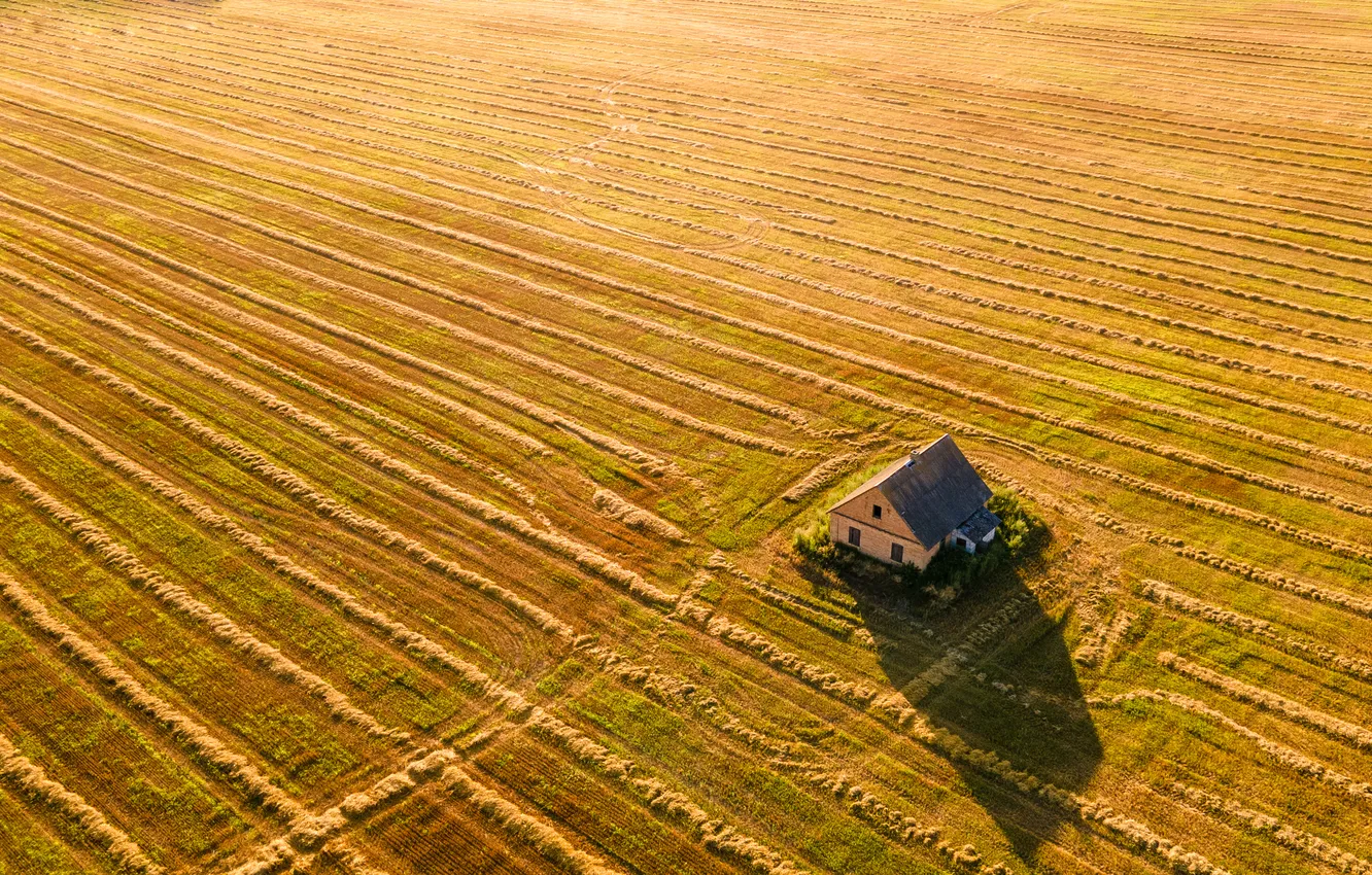 Фото обои house, sunset, crop, harvest