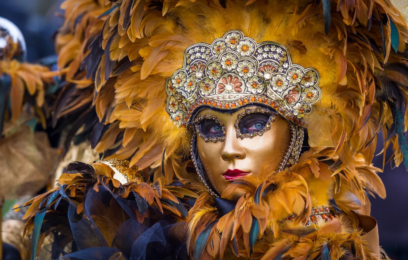 Фото обои перья, маска, Венеция, маскарад