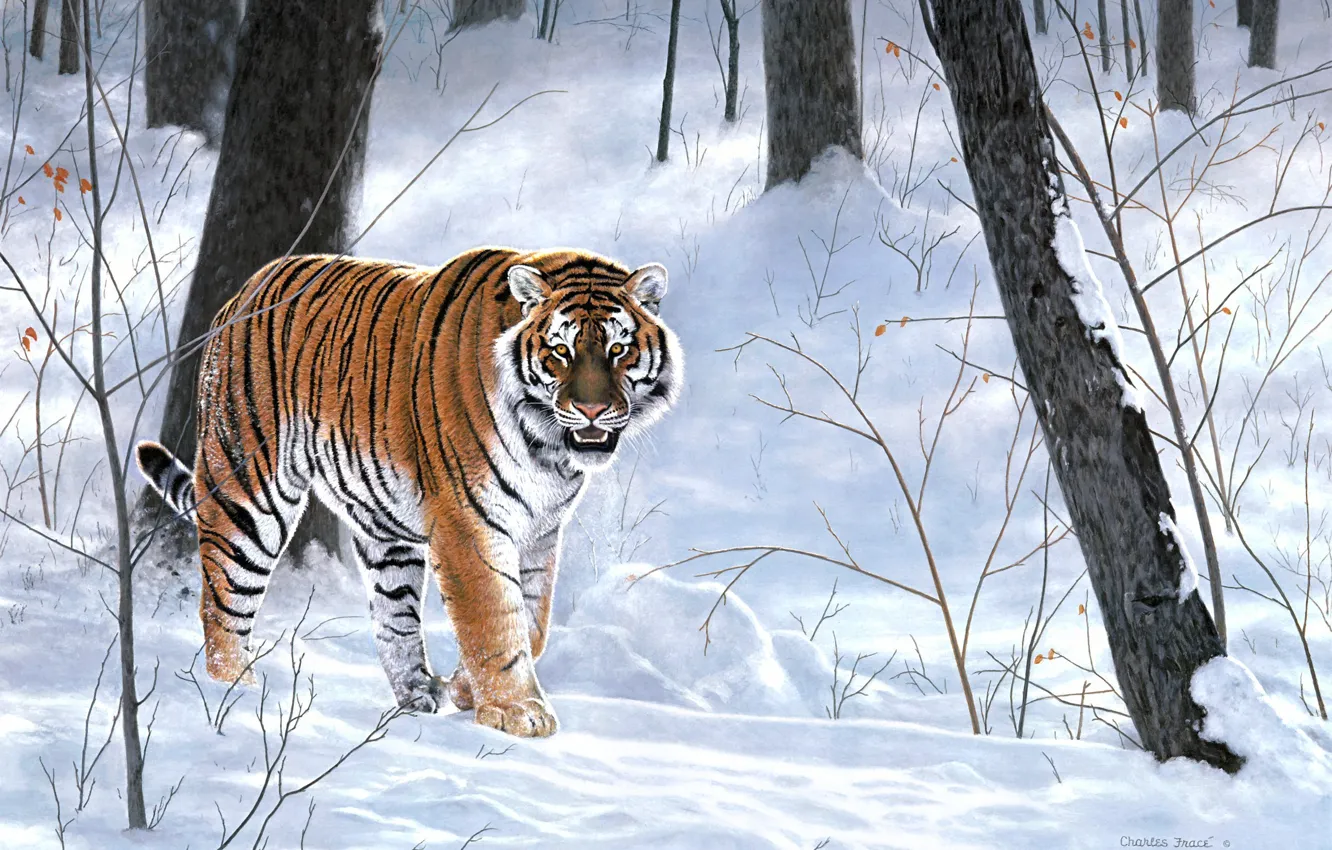 Фото обои зима, лес, животные, тигр, живопись, тайга, Charles Frace, Emperor Of Siberia