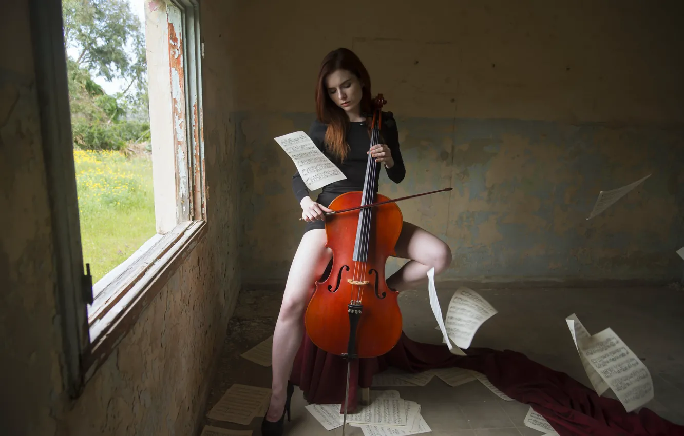 Фото обои девушка, ноты, виолончель