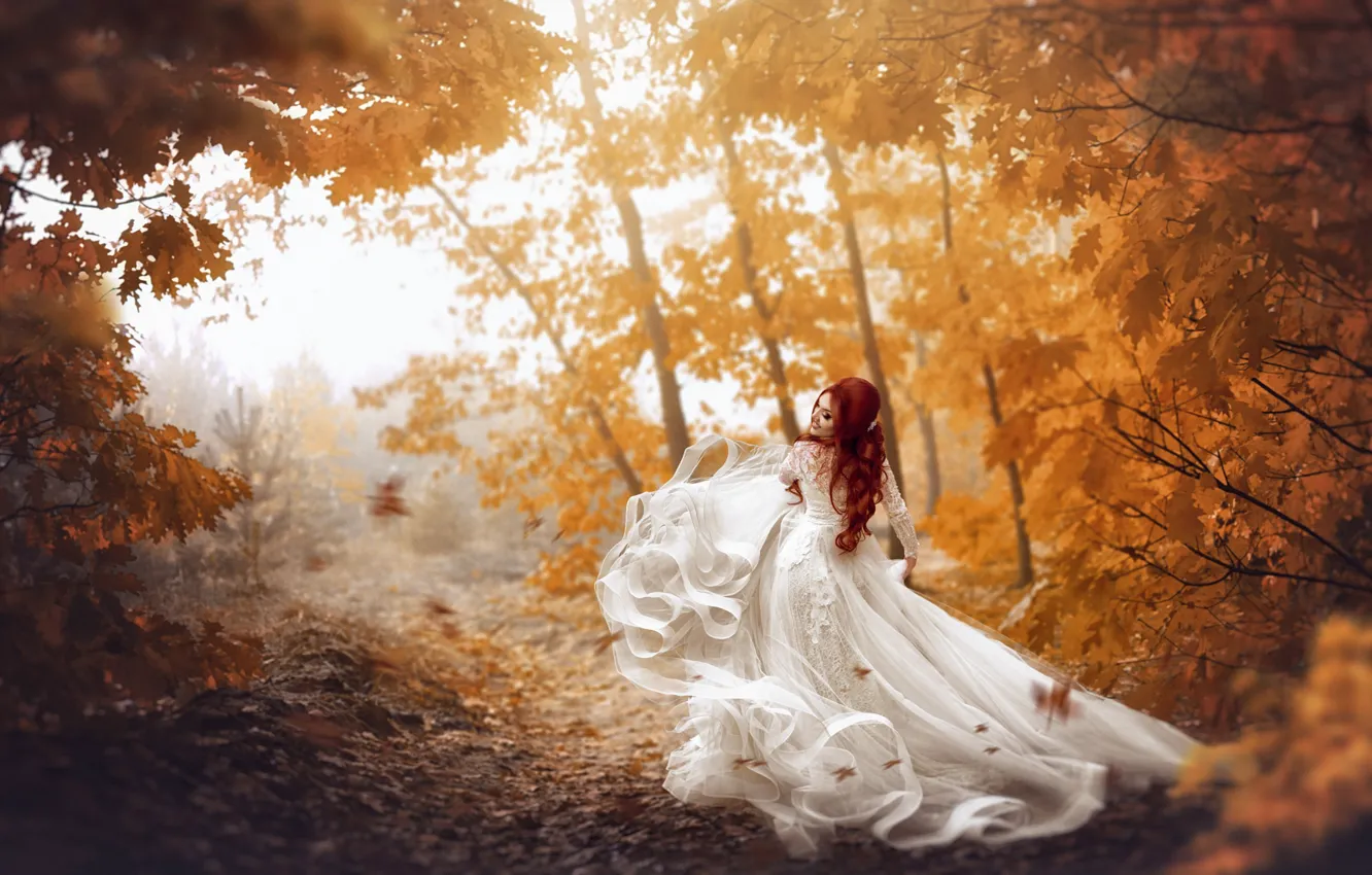 Фото обои осень, девушка, фото, листва, платье, рыжая, невеста, Екатерина Скоробогатова