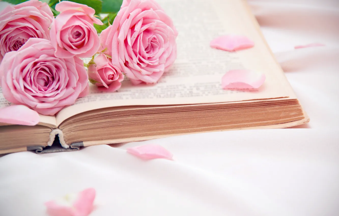 Фото обои розы, лепестки, книга