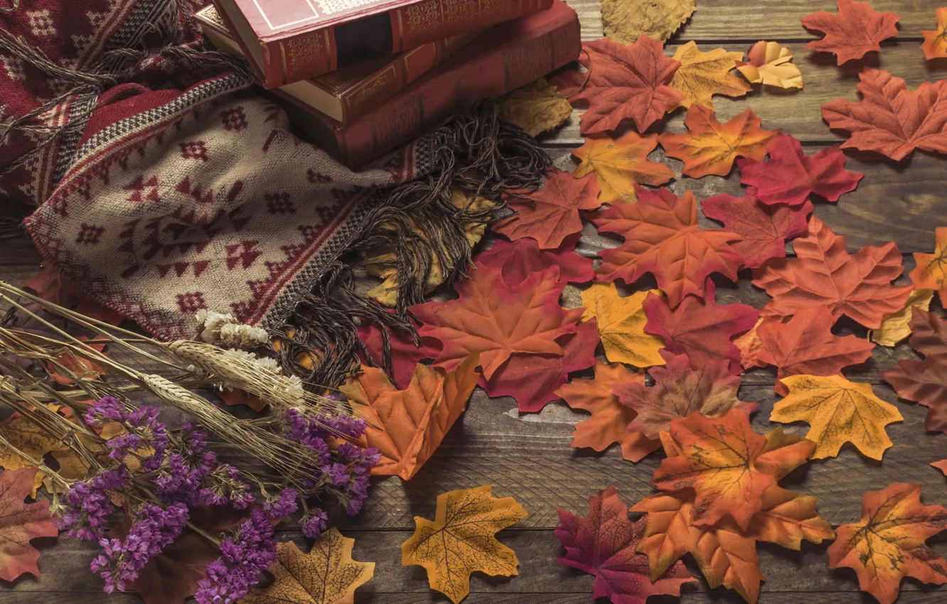 Фото обои осень, листья, цветы, фон, дерево, colorful, книга, wood