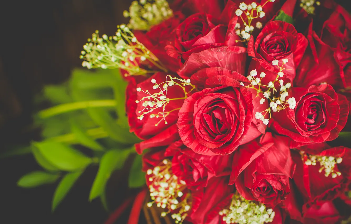 Фото обои цветы, фон, розы, букет