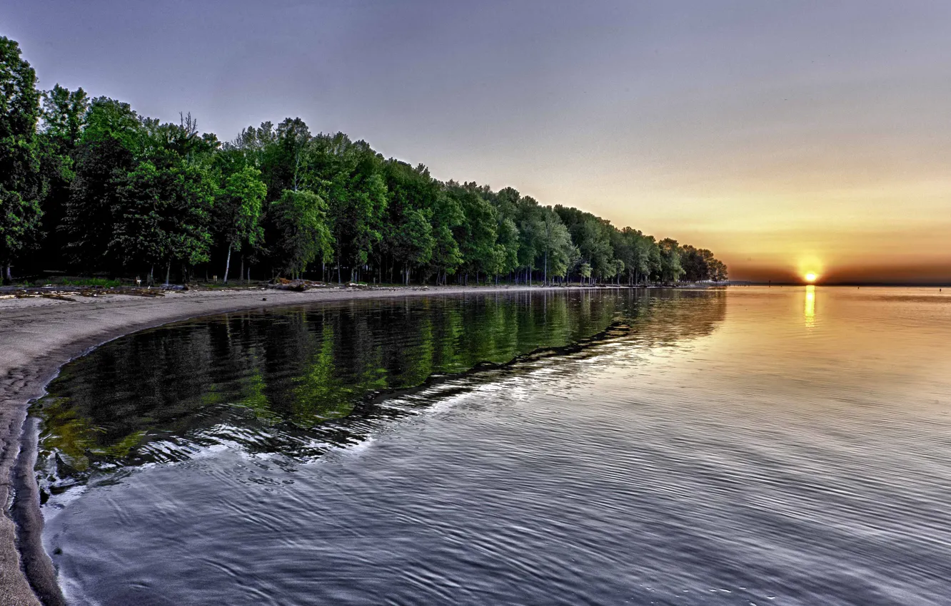 Фото обои песок, лес, солнце, отражение, река, восход, берег