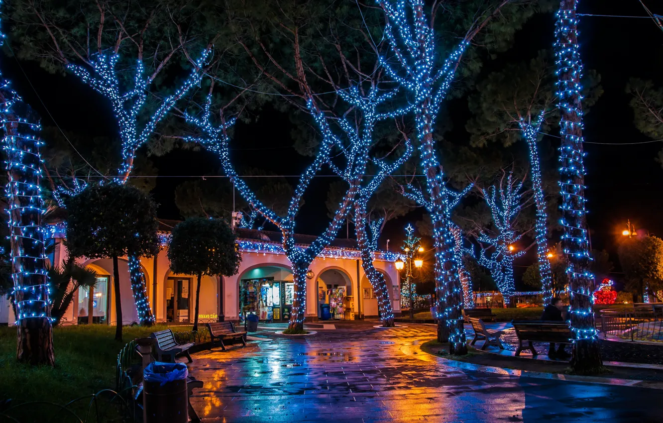 Фото обои деревья, ночь, огни, парк, новый год, рождество, фонари, Италия