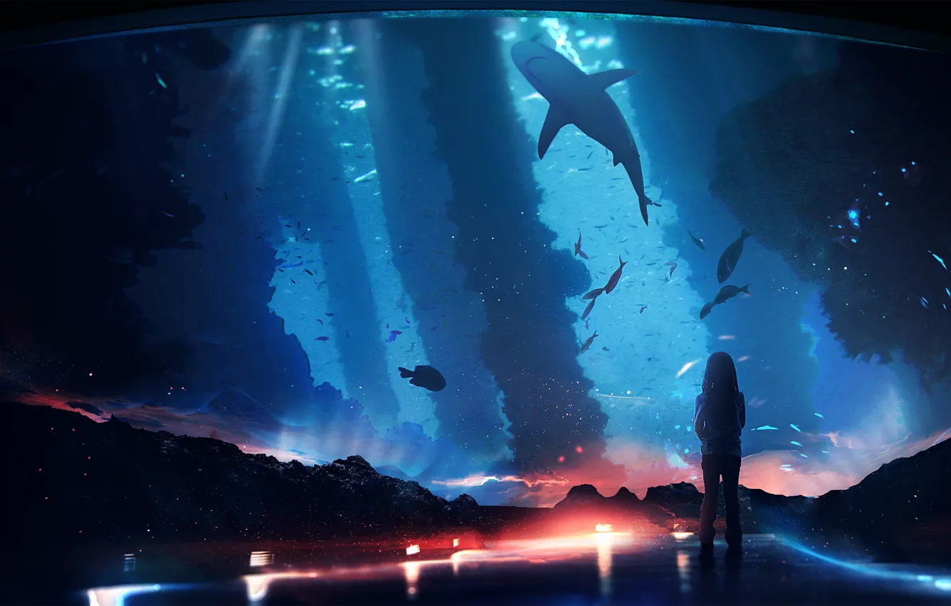Фото обои рыбы, фантазия, акула, девочка, океанариум