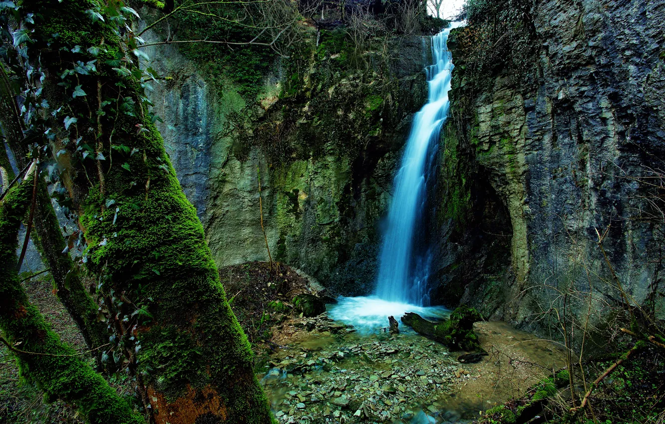 Фото обои лес, природа, скалы, водопад