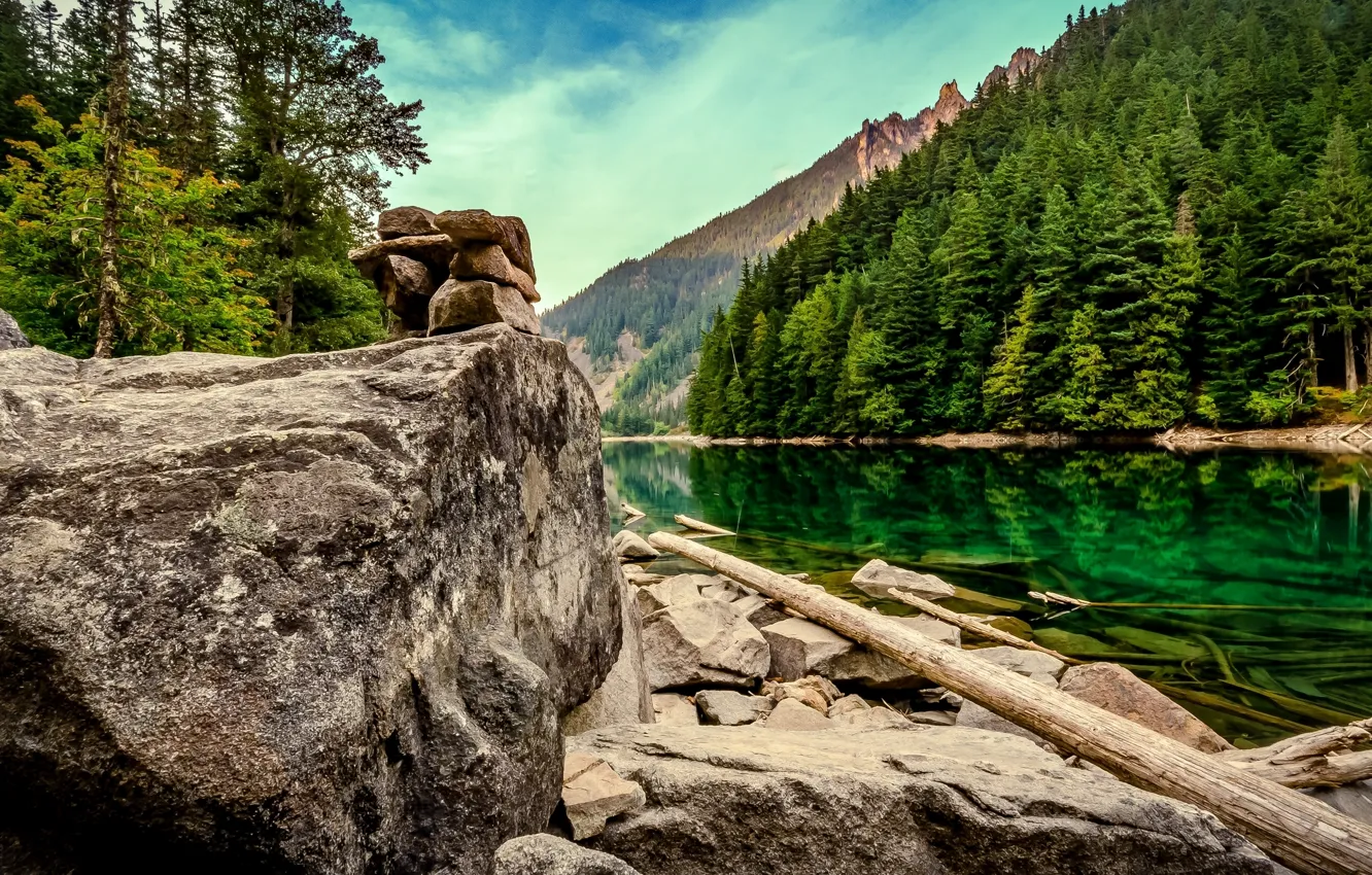 Фото обои лес, озеро, камни, Канада, Canada, British Columbia, брёвна, валуны