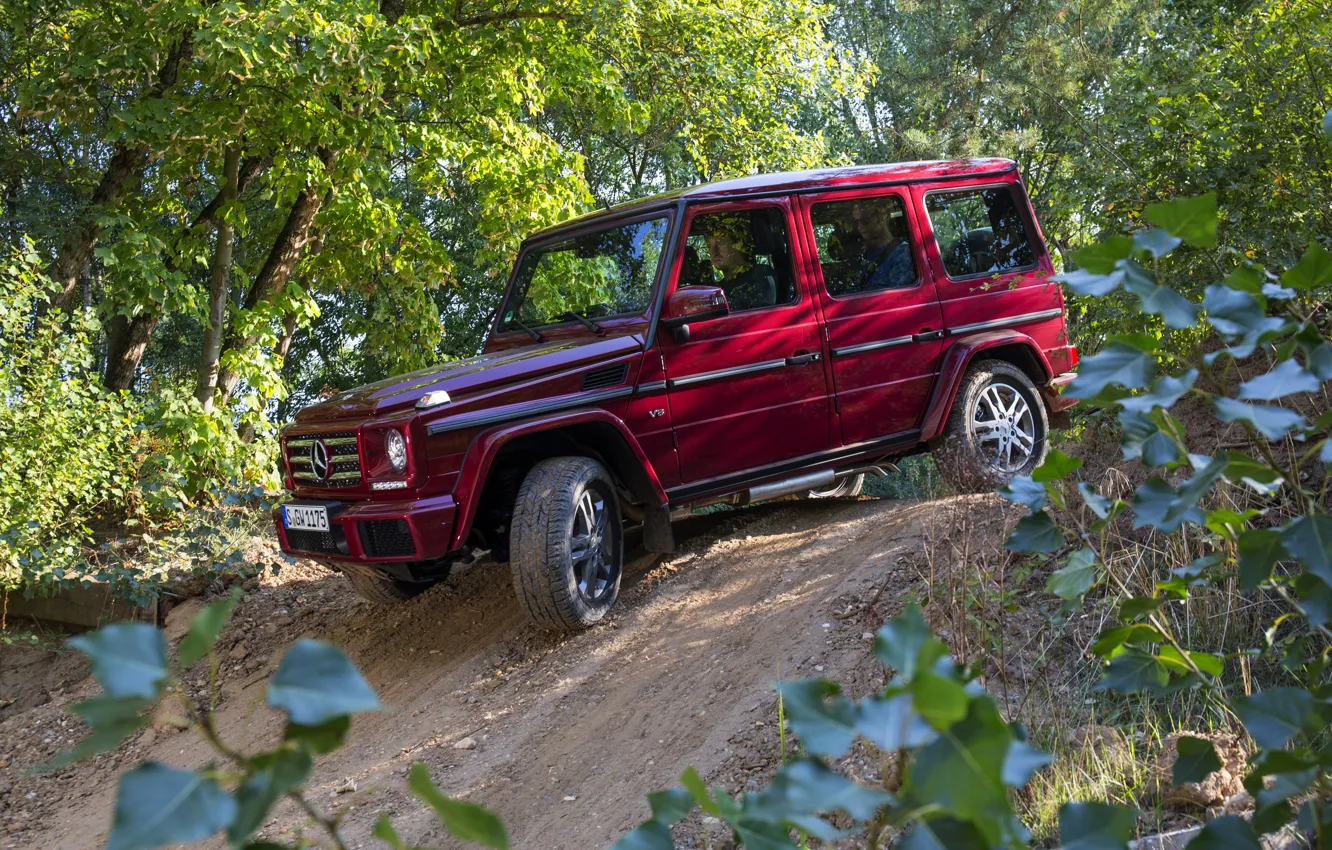 Фото обои лес, Mercedes-Benz, внедорожник, G500, G-Class, 2015, G 500, V8 Biturbo