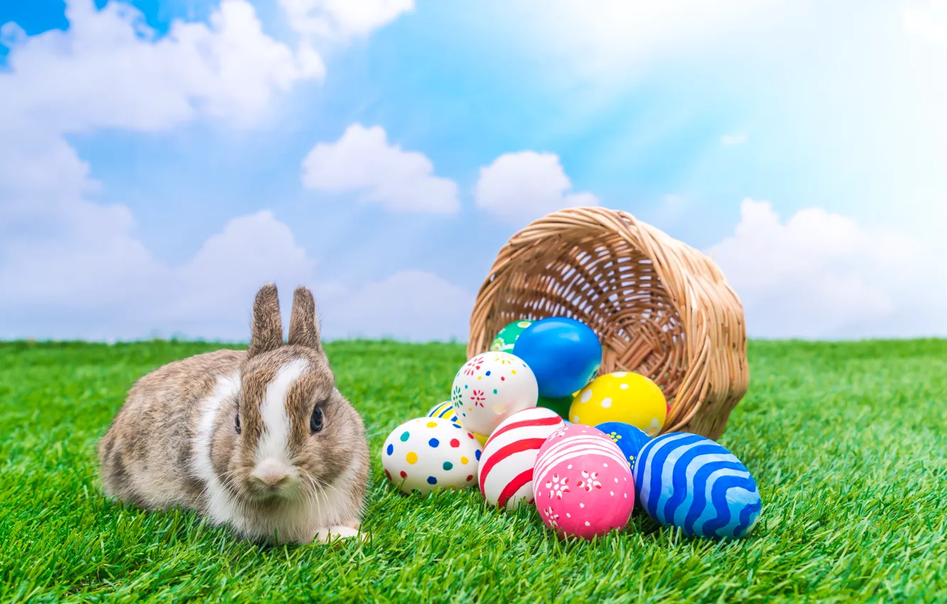 Фото обои праздник, корзина, кролик, пасха, яйца крашенные