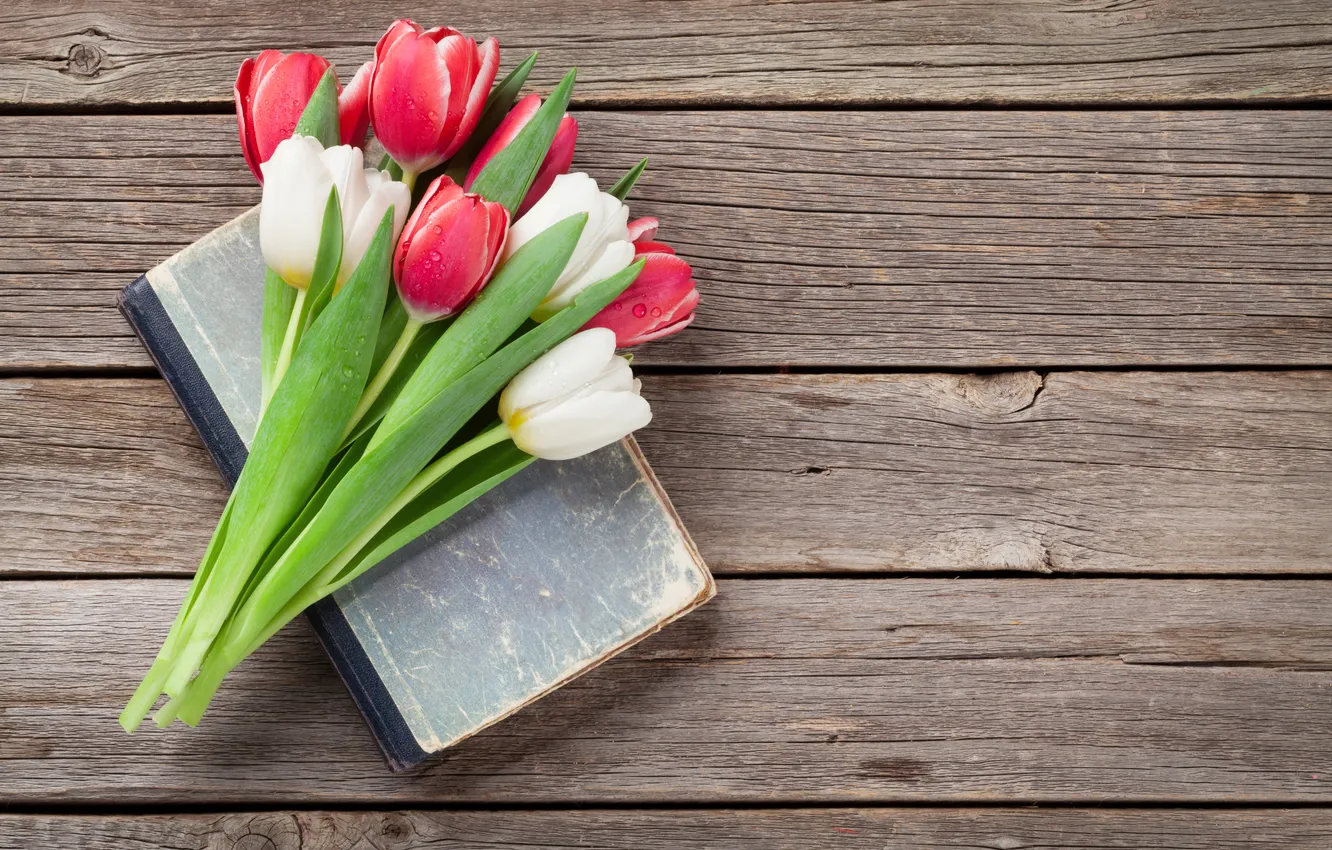Фото обои цветы, букет, тюльпаны, red, white, wood, flowers, tulips
