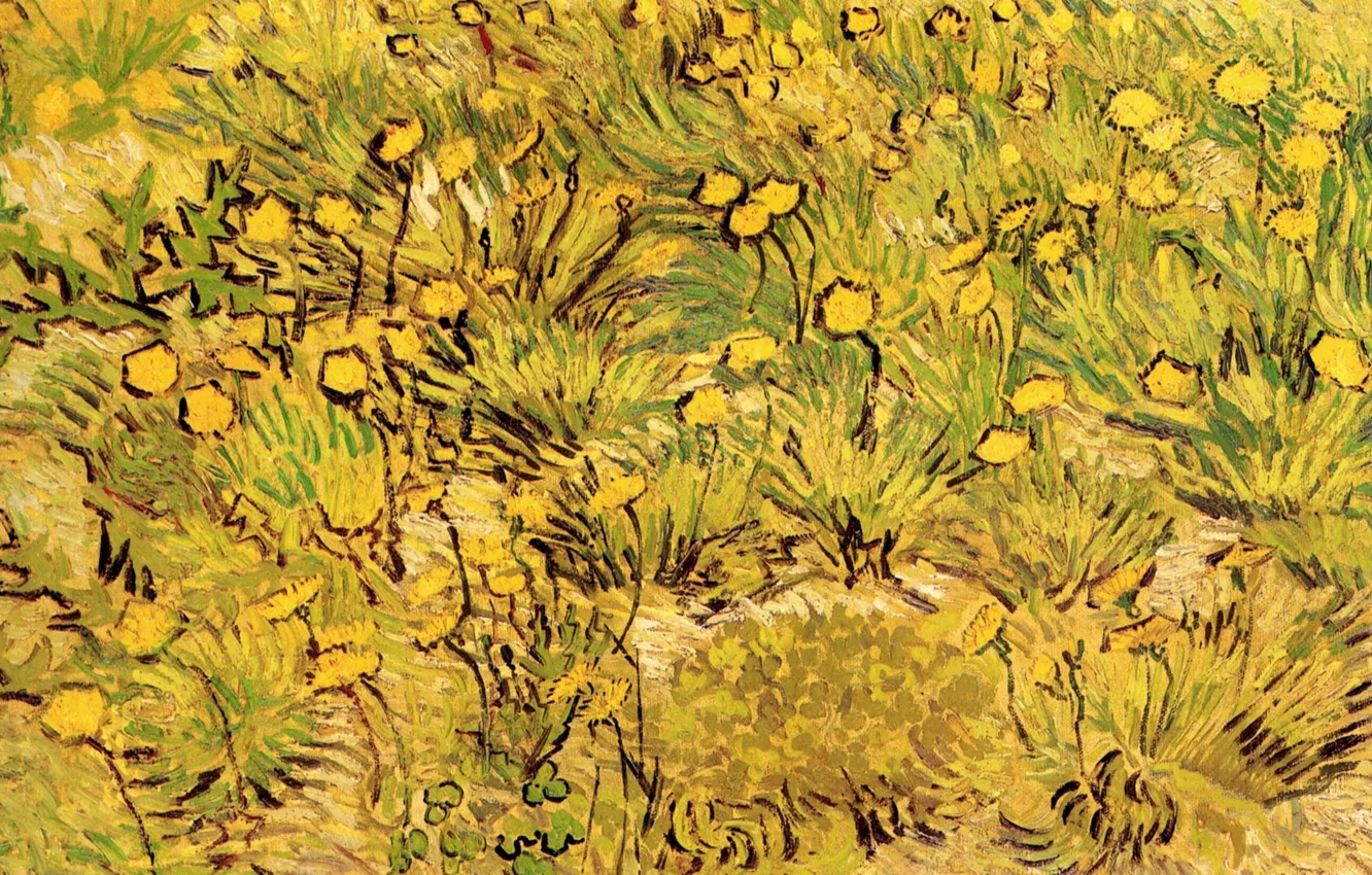 Фото обои Винсент ван Гог, A Field of Yellow Flowers, Arles