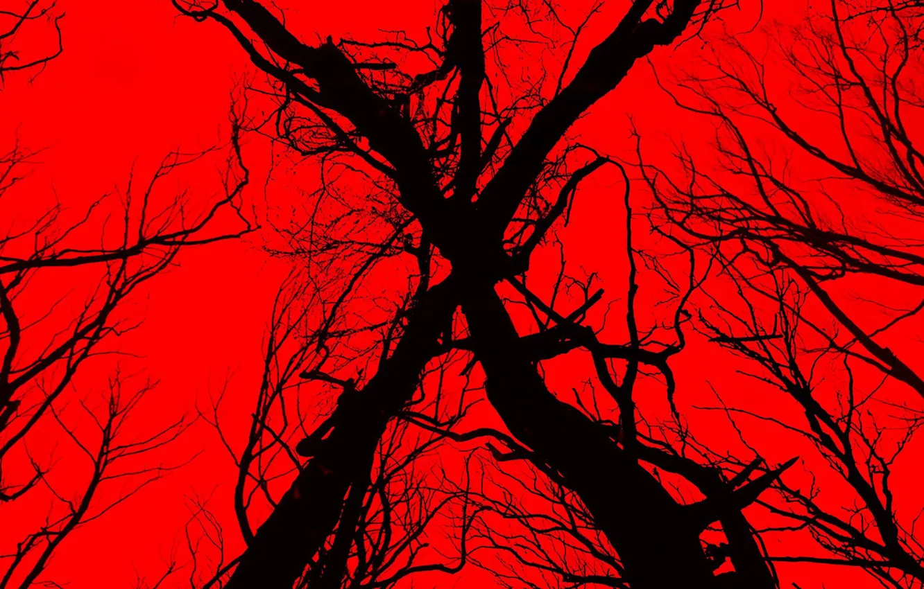 Фото обои cinema, red, devil, tree, movie, evil, film, witch