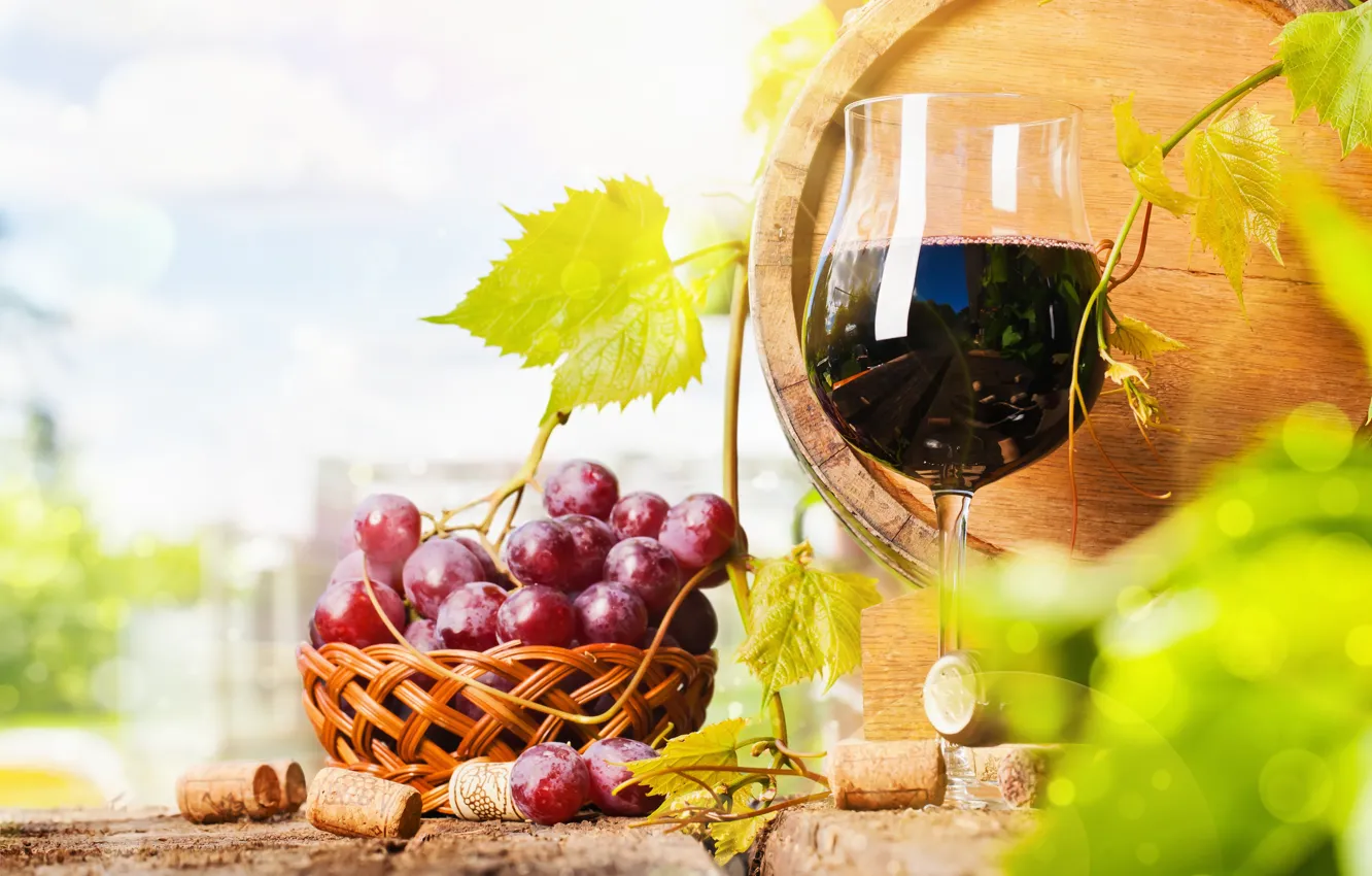 Фото обои вино, бокал, бутылка, виноград, бочка, корзинка