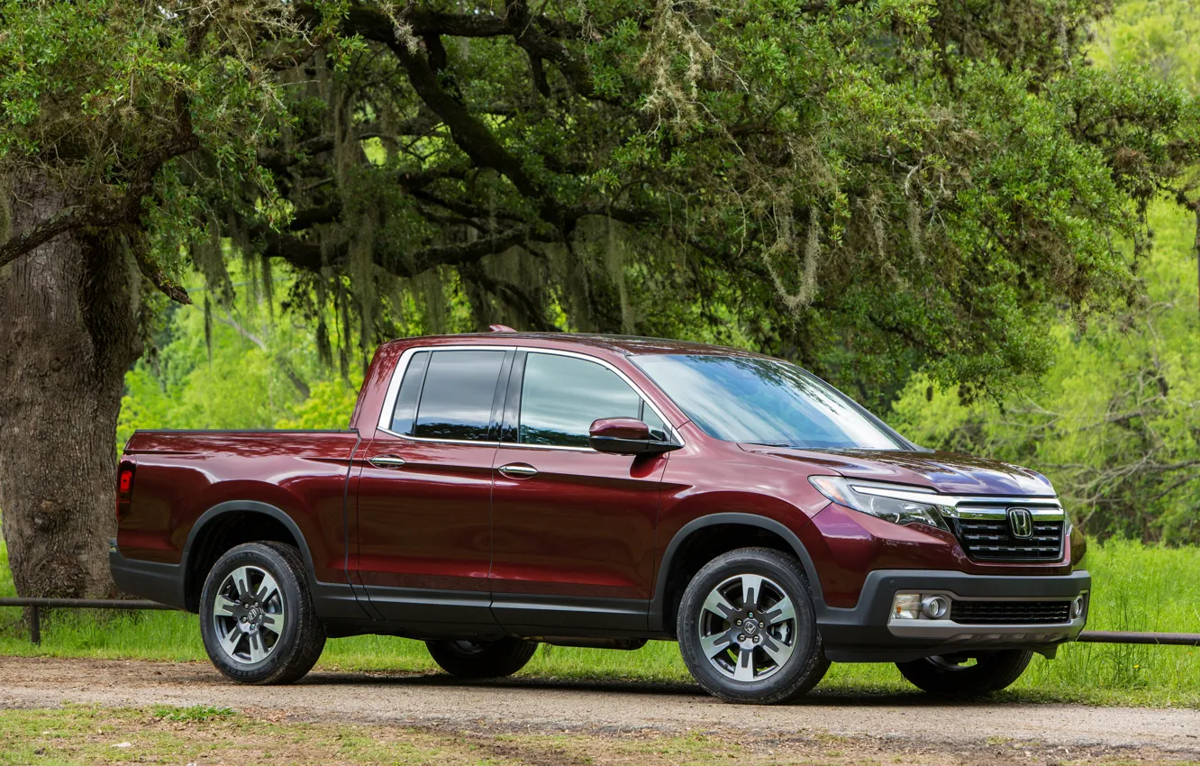 Фото обои растительность, Honda, пикап, Ridgeline, 2019