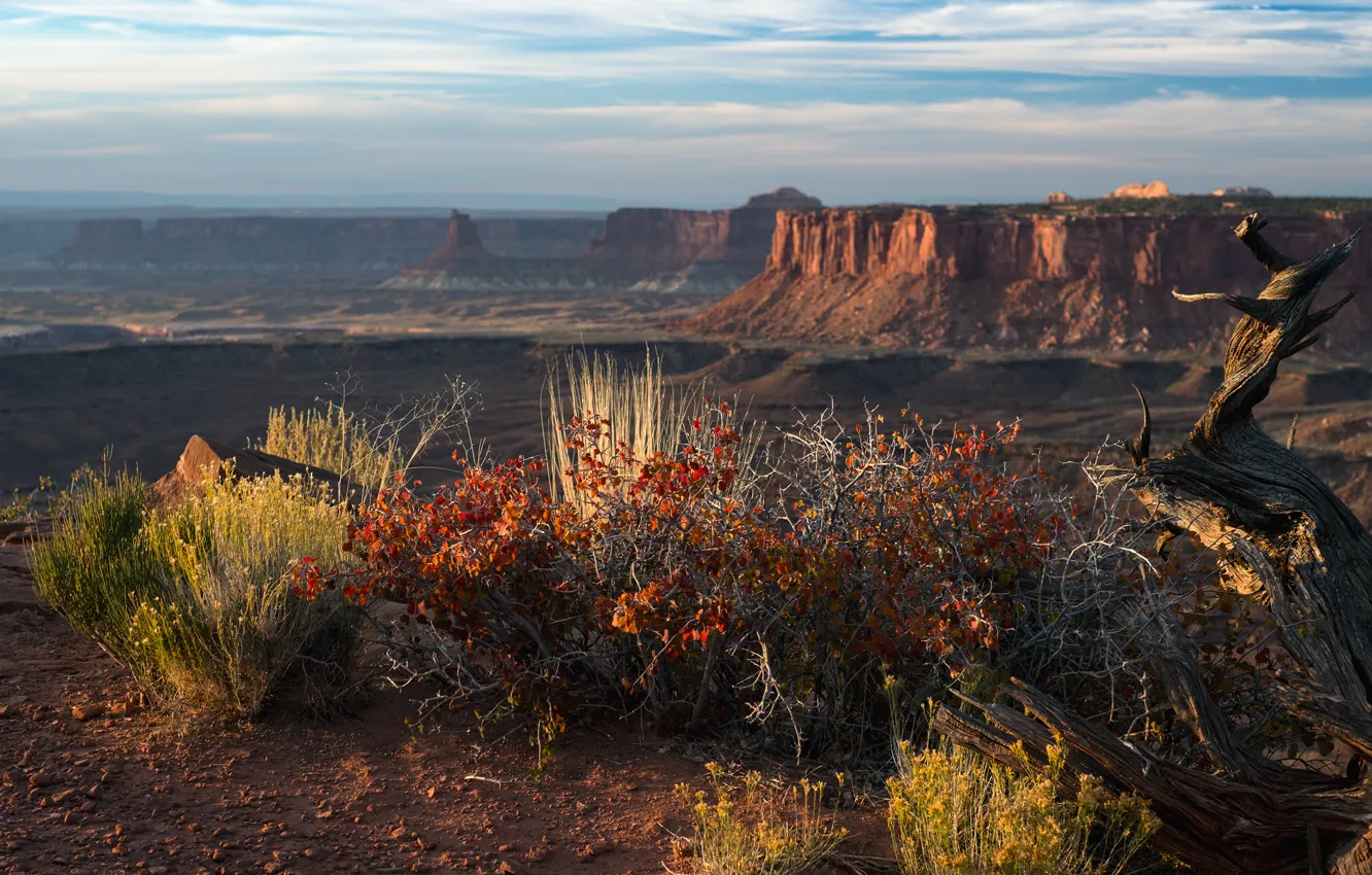 Фото обои природа, каньон, Sunset, Utah, Canyonlands National Park, Grand View Point, закаи