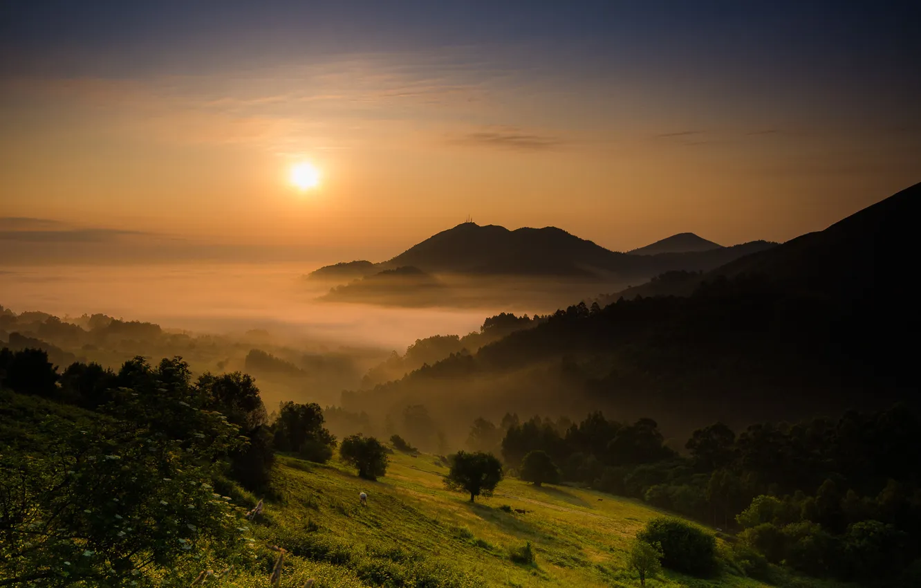 Фото обои пейзаж, горы, туман, утро