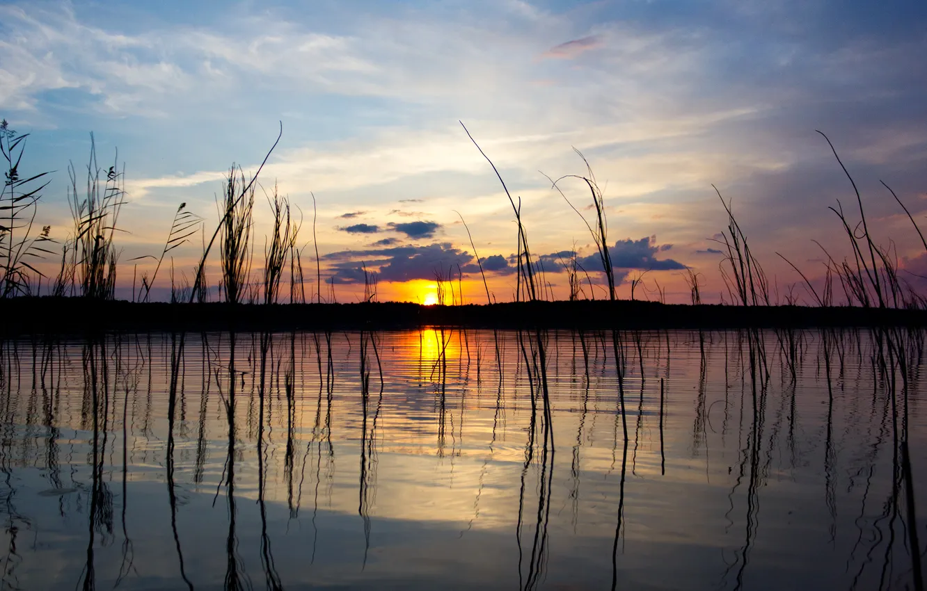 Фото обои трава, солнце, озеро, отражение, вечер
