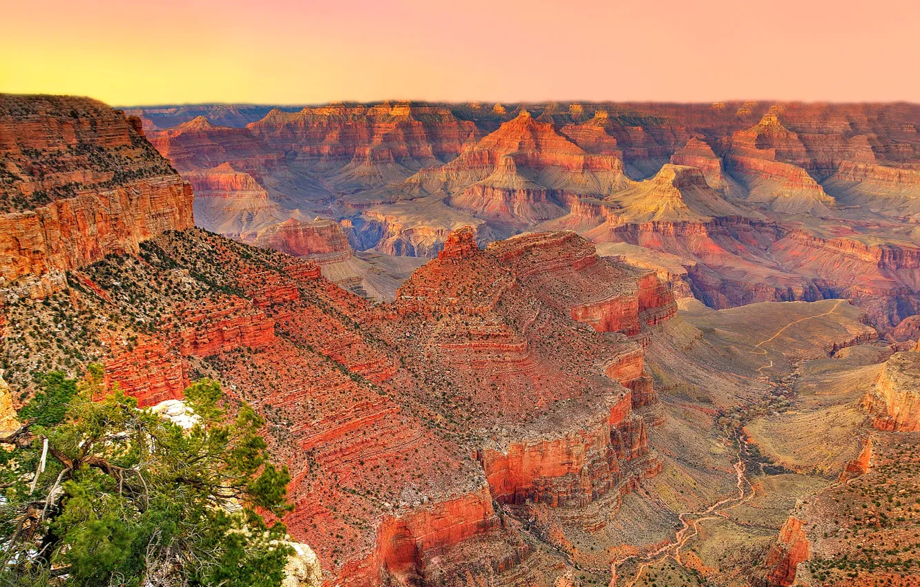 Фото обои небо, закат, горы, дерево, каньон, Аризона, USA, США