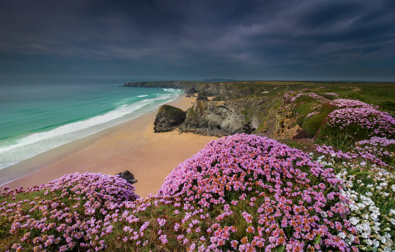 Фото обои песок, море, пляж, лето, небо, цветы, тучи, скалы