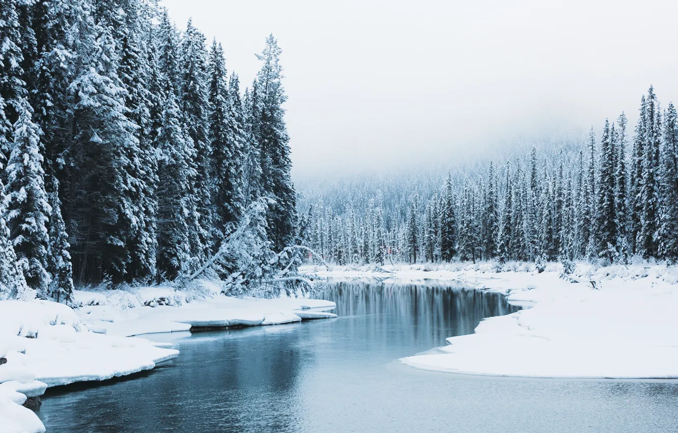 Фото обои зима, лес, снег, природа, река