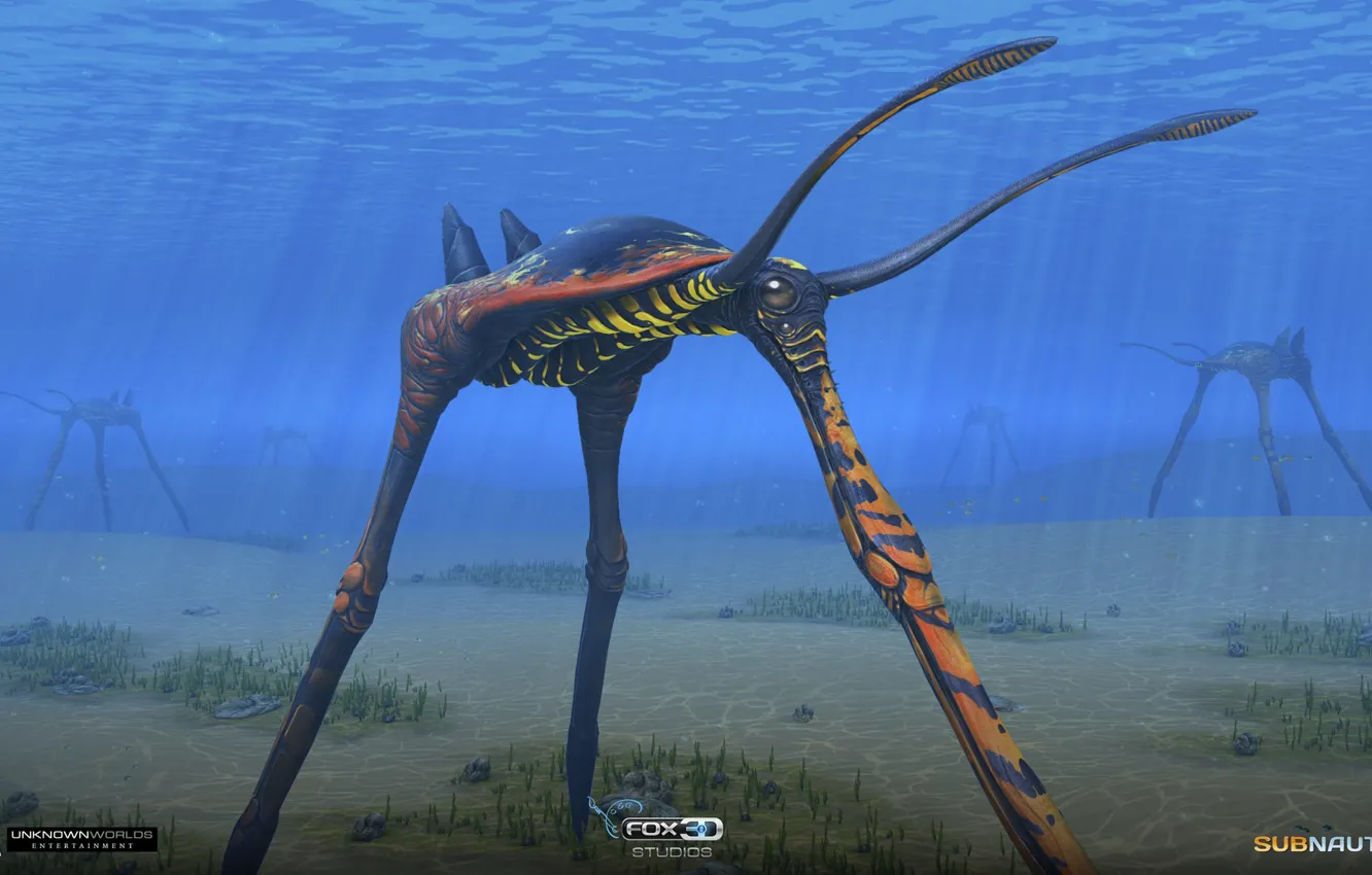 Фото обои дно, существо, Subnautica