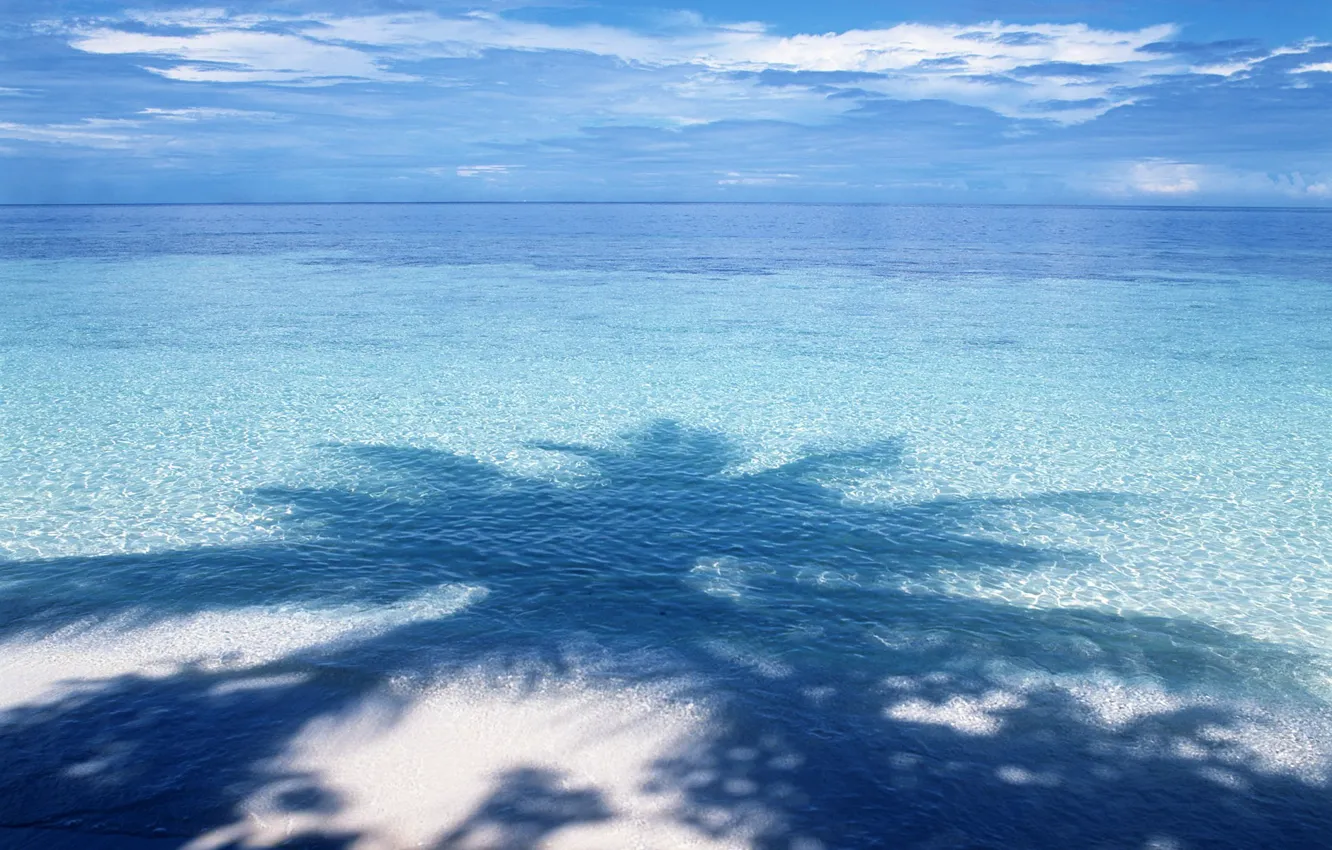 Фото обои вода, синий, пальма, тень, горизонт