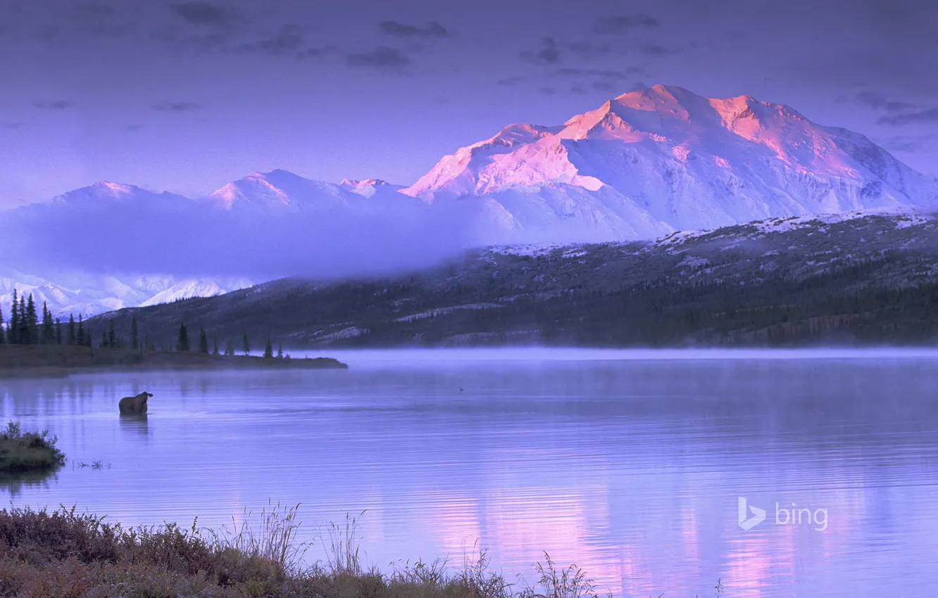 Фото обои небо, горы, озеро, Аляска, США, лось, Wonder Lake